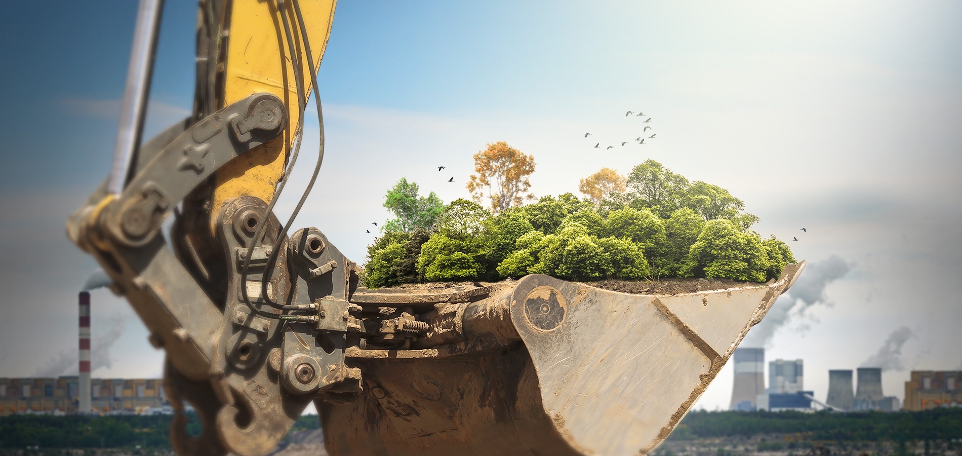 Environmental Policy